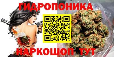 прущие крисы Шахты