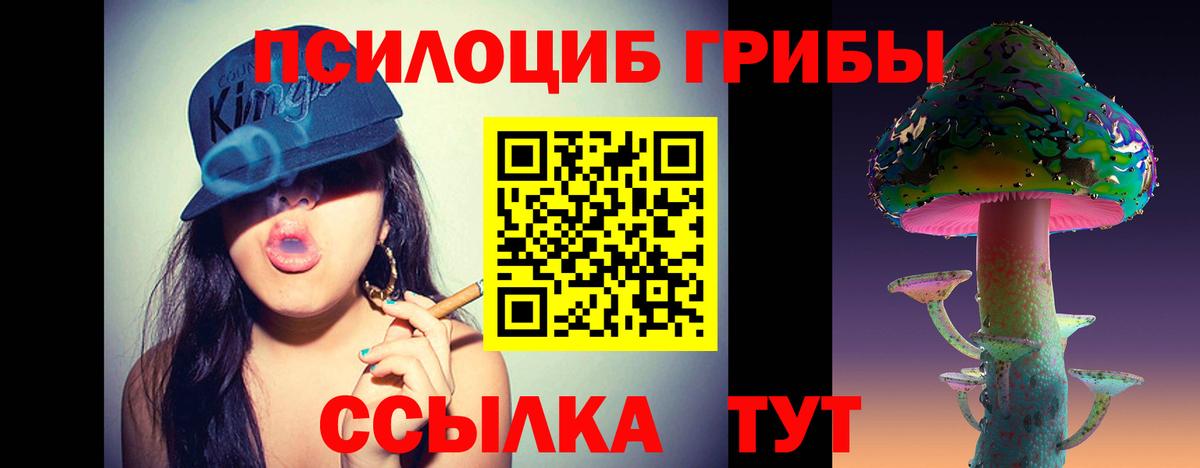 Галлюциногенные грибы GOLDEN TEACHER  Вход с VPN  Псилоцибиновые грибы мицелий  Мирный 